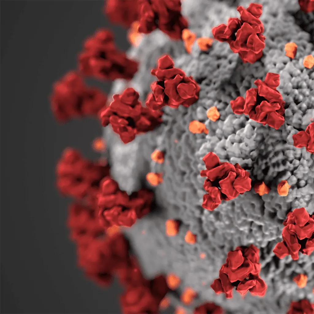 COVID-19 virus particle 3D visualization Microscopic visualization of virus particles with red spike proteins on gray surface, illustrating COVID-19 safety considerations for event photo booths