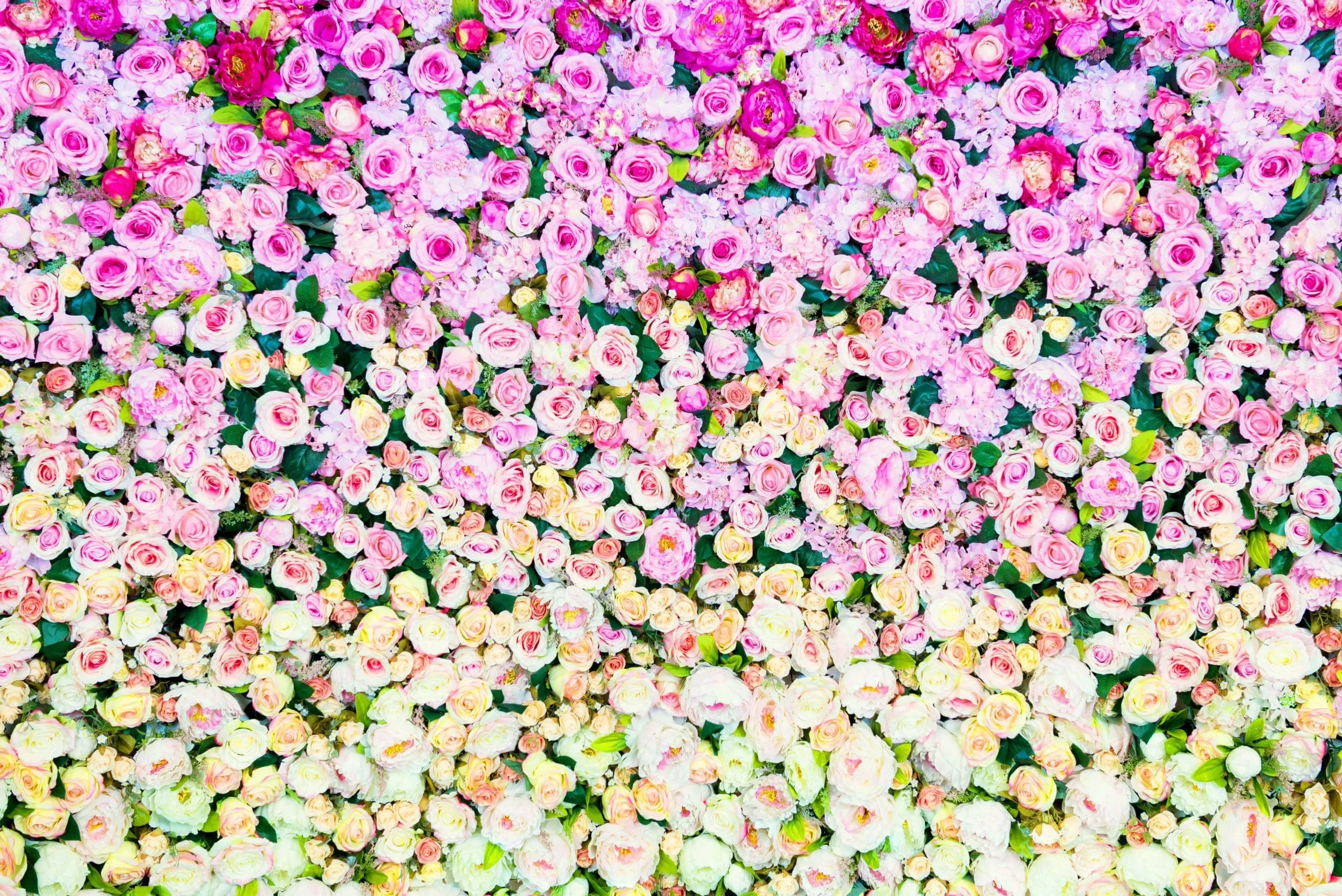 Vibrant Floral Wall Photo Booth Backdrop Dense floral wall with vibrant pink, magenta, and white roses