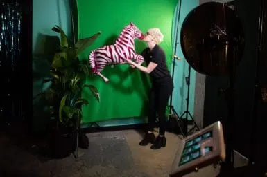 Green Screen Photo Booth Setup for Event Experience Green screen photo booth setup with tropical plants and zebra prop