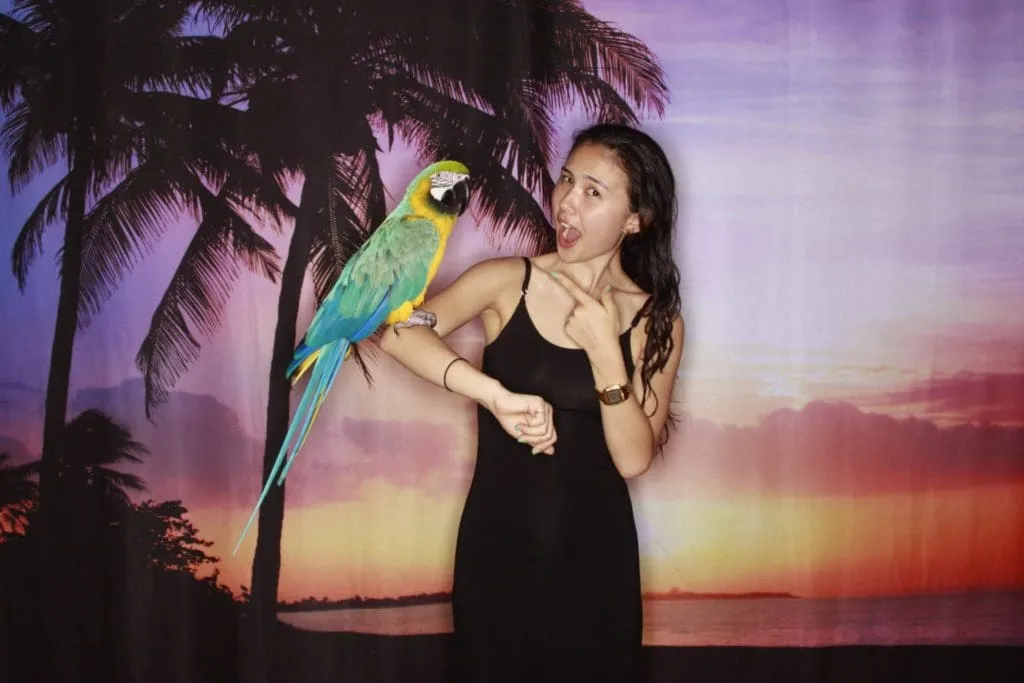 Woman in black dress holding a colorful macaw parrot against a tropical sunset backdrop with palm trees during a photo booth experience